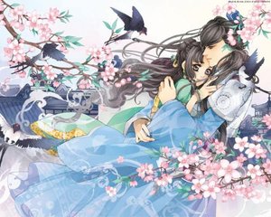 暴走黑料在线免费在线看